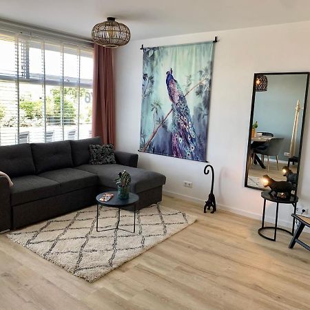 Amsterdam Beach Apartment 76 Zandvoort Exteriér fotografie